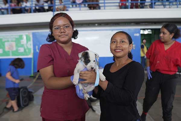 "Misión Patitas" supera las 2 mil esterilizaciones de mascotas en Coclé