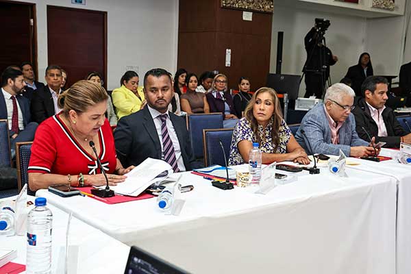 Paridad de género y postulaciones acaparan discusión en la CNRE