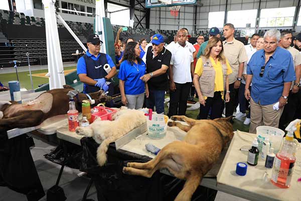 Mulino visita futura clínica veterinaria para Chiriquí y Misión Patitas alcanza 20 mil esterilizaciones