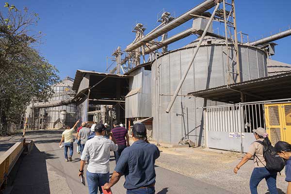 ANALMO recomienda importar contingente de arroz para hacerle frente a inventario nacional y seguridad alimentaria