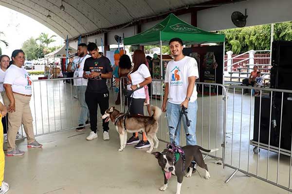 Donatón por los Animales sin Hogar 2026 busca recolectar 15 mil kilogramos de alimento