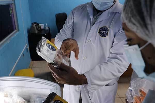 Exportaciones hacia el Caribe se consolidan como eje estratégico para Panamá