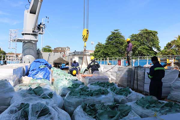 Inicia construcción de 22 viviendas en isla de Tubualá en Guna Yala