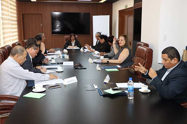 Conavi celebra su primera reunión ordinaria y presenta a su nuevo director ejecutivo