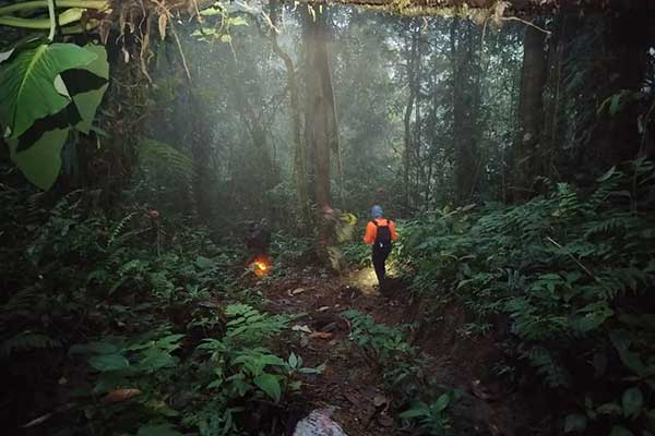 Culmina operativo de rescate de senderista en Alto Culebra