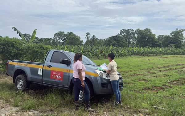 ISA inspecciona afectaciones en cultivos de plátano y ganado