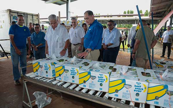 Mulino recorre operaciones de Chiquita, reactivando exportaciones de banano desde Bocas
